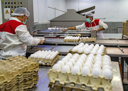 هر شانه تخم‌ مرغ بالاتر از ۱۴۰ هزارتومان گران‌فروشی است