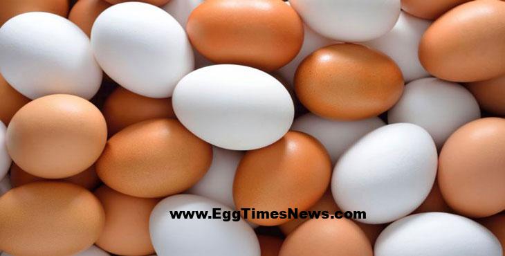 خرید تضمینی روزانه تخم مرغ به ۱۰ هزارتن رسید.