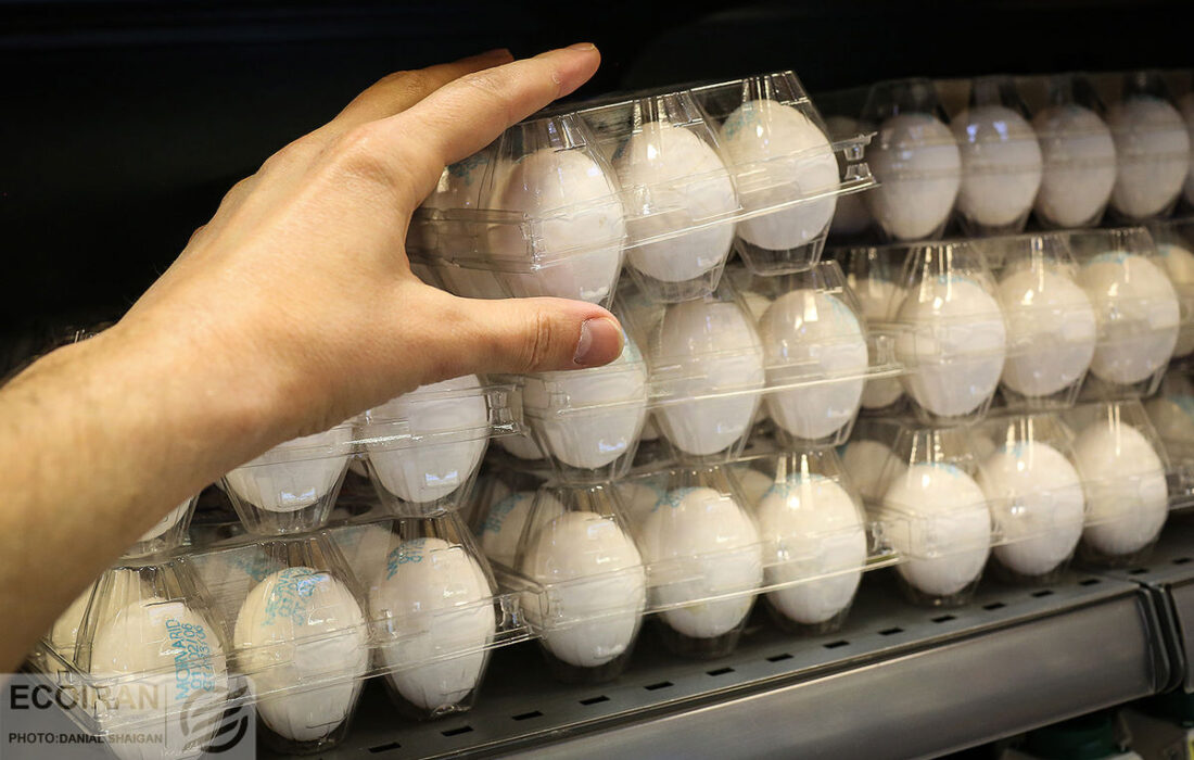 تحلیل تطبیقی سیاست‌های تنظیم بازار تخم‌مرغ در کشورهای مختلف