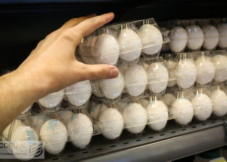 تحلیل تطبیقی سیاست‌های تنظیم بازار تخم‌مرغ در کشورهای مختلف