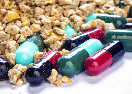 تفاوت واقعی مکمل‌ها و داروهای دام و طیور ایرانی و خارجی؛ هزینه کمتر یا اثربخشی بیشتر؟