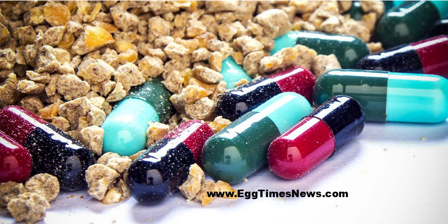 تفاوت واقعی مکملها و داروهای دام و طیور ایرانی و خارجی؛ هزینه کمتر یا اثربخشی بیشتر؟