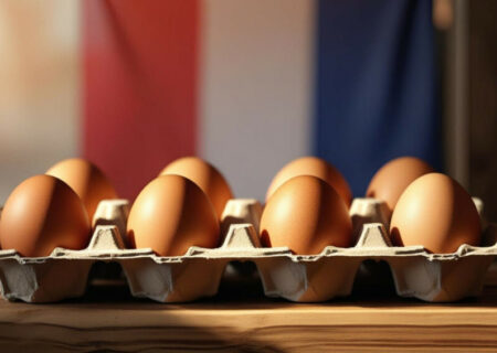 جنگ تخم‌مرغ فرانسه و پیامدهای آن بر بازار اروپا