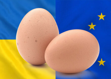 اوکراین صادرات تخم‌مرغ خود را در نیمه نخست ۲۰۲۵ تقریباً دو برابر کرد.