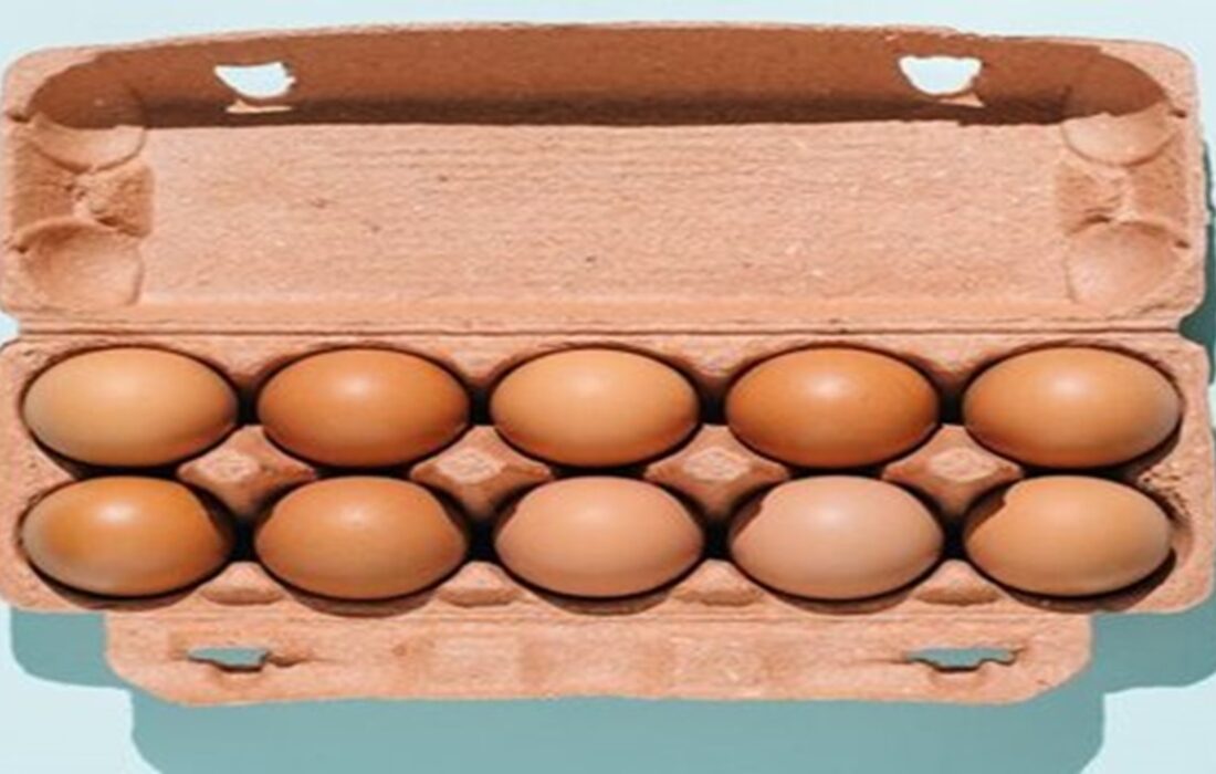 تخممرغ؛ دشمن یا ناجی سلامت؟