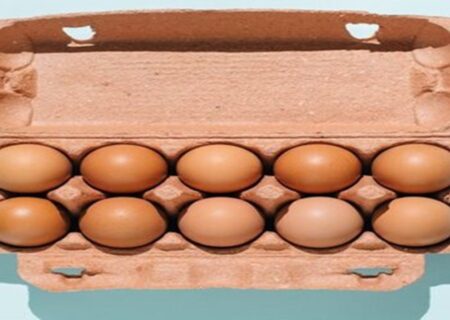 تخم‌مرغ؛ دشمن یا ناجی سلامت؟