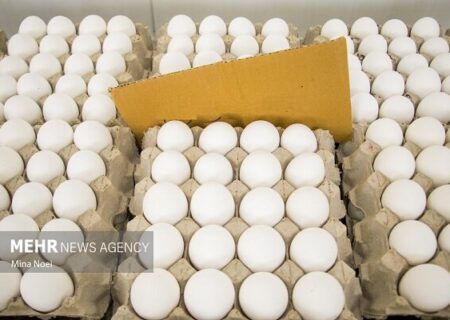 کشف و معدوم‌سازی ۴ هزار کیلوگرم تخم‌مرغ فاسد در قم
