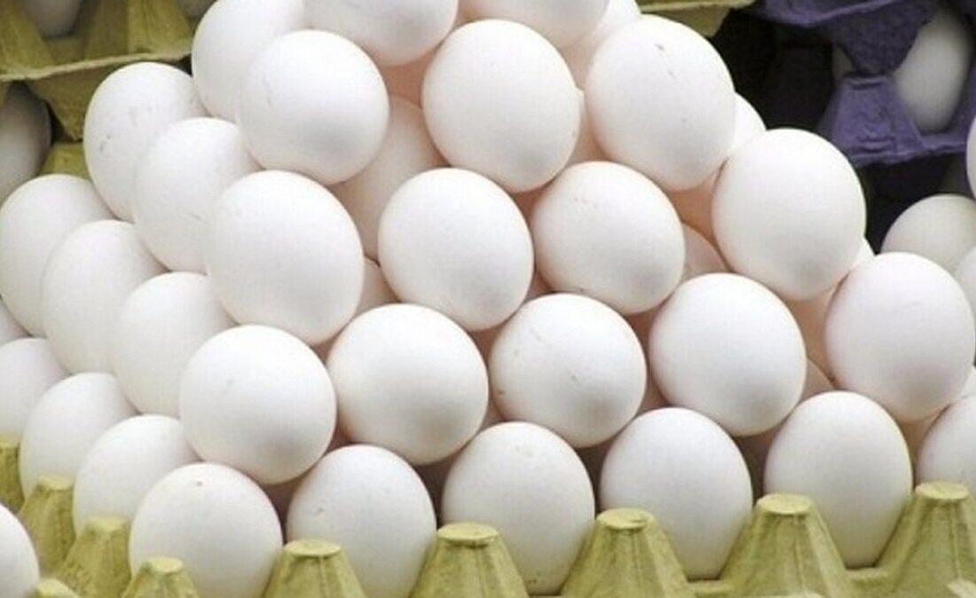 افزایش ۱۰۰ درصدی صادرات تخم مرغ خوراکی از استان مرکزی