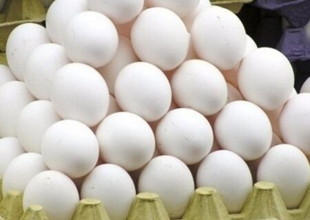 افزایش ۱۰۰ درصدی صادرات تخم مرغ خوراکی از استان مرکزی