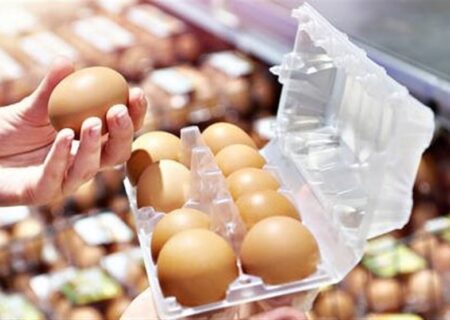 جهش ۱۰۰ درصدی صادرات تخم‌مرغ خوراکی از استان مرکزی