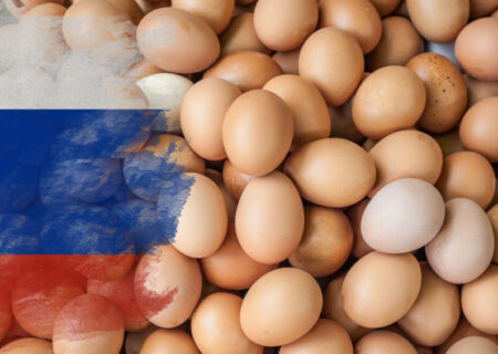 بحران سودآوری در صنعت طیور روسیه: تلفات گسترده مرغ‌ها و نگرانی‌های رفاهی