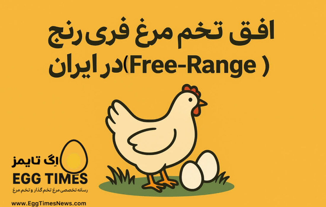 افق تولید تخممرغ فریرنج (Free-Range) در ایران
