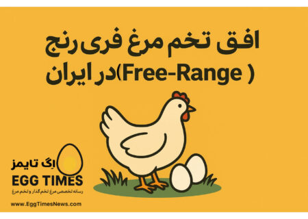 افق تولید تخم‌مرغ فری‌رنج (Free-Range) در ایران