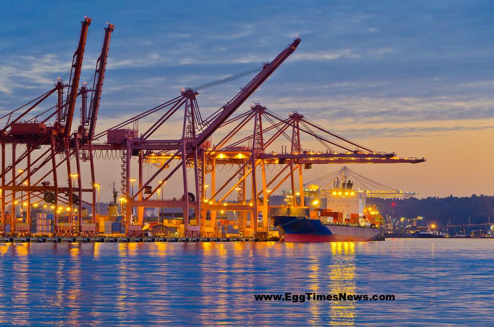 اتحادیه اروپا ممنوعیت واردات مرغ برزیل را لغو کرد.