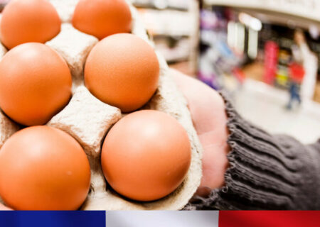 فرانسه به واردات تخم‌مرغ‌های اوکراینی معترض است.