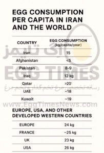 سرانه مصرف تخم‌مرغ در ایران و جهان؛ جایگاه کشورهای منطقه و غرب