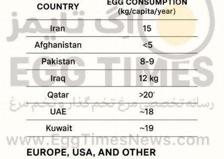 سرانه مصرف تخم‌مرغ در ایران و جهان؛ جایگاه کشورهای منطقه و غرب