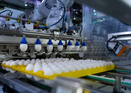 تغییر ترجیحات مصرف‌کنندگان استرالیا به سمت فناوری «سکسینگ درون‌تخم»