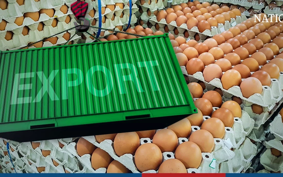 تغییرات مداوم در سیاستهای صادراتی تخممرغ و پیامدهای آن برای تولیدکنندگان
