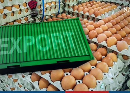 تغییرات مداوم در سیاست‌های صادراتی تخم‌مرغ و پیامدهای آن برای تولیدکنندگان