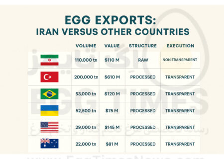 ایران در بازار صادرات تخم‌مرغ: رکورد کمّی اما عقب‌مانده کیفی