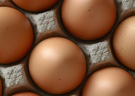 رابطه حلالیت و زیست‌فراهمی در تشکیل پوسته تخم‌مرغ