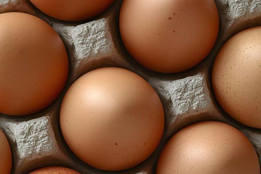 رابطه حلالیت و زیستفراهمی در تشکیل پوسته تخممرغ