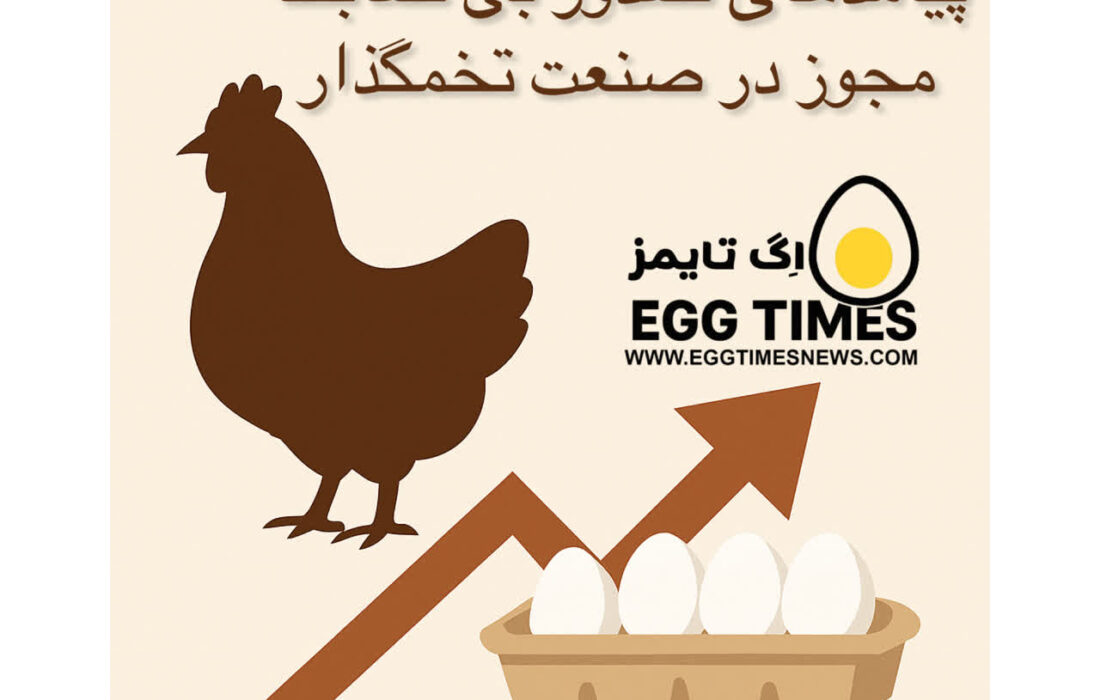 پیامدهای صدور بیضابطه مجوز در صنعت تخمگذار