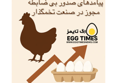 پیامدهای صدور بی‌ضابطه مجوز در صنعت تخم‌گذار