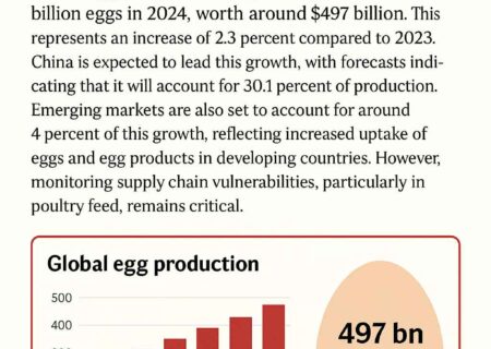 تولید جهانی تخم‌مرغ به نیم تریلیون دلار نزدیک می‌شود