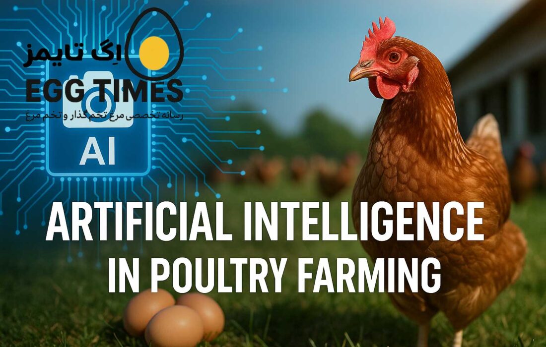 از داده تا رفاه: فناوری SFN-YOLO چشمهای هوشمند مرغداریهای آینده