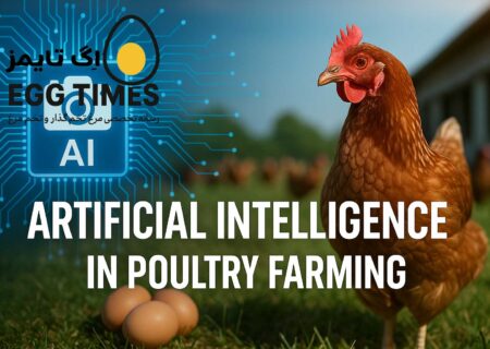 از داده تا رفاه: فناوری SFN-YOLO چشم‌های هوشمند مرغداری‌های آینده