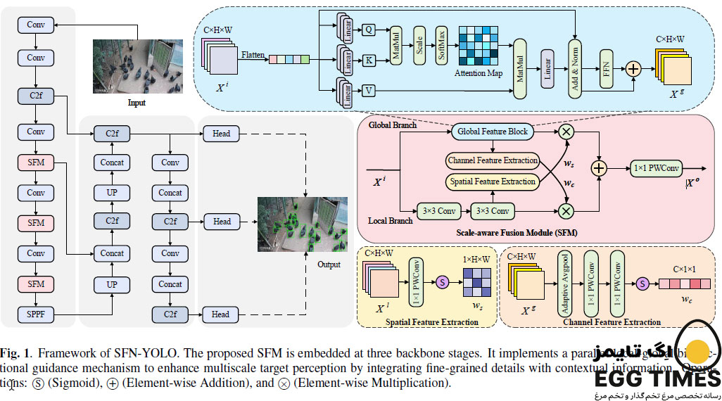 از داده تا رفاه: فناوری SFN-YOLO چشمهای هوشمند مرغداریهای آینده