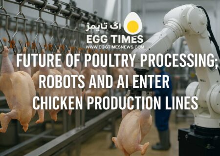 آیندهٔ فرآوری طیور؛ ربات‌ها و هوش مصنوعی وارد خطوط تولید مرغ می‌شوند