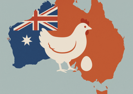 دلیل کمبود تخم‌مرغ در استرالیا چیست و آیا این وضعیت ادامه‌دار خواهد بود؟