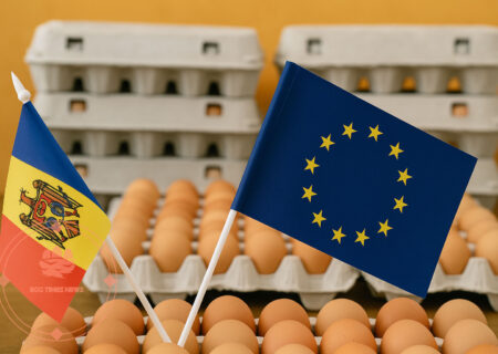 افزایش صادرات تخم‌مرغ مولداوی به اتحادیه اروپا در نیمه اول ۲۰۲۵