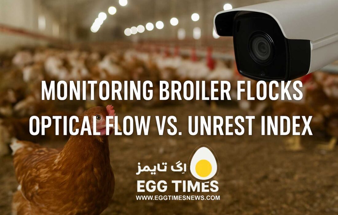 مدلسازی ناراحتی جوجههای گوشتی بر اساس شرایط محیطی و زیستمحیطی