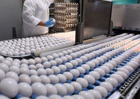 با حذف ارز ۴۲۰۰ تومانی، تخم مرغ توانست بازارهای منطقه‌ای را فتح کند.