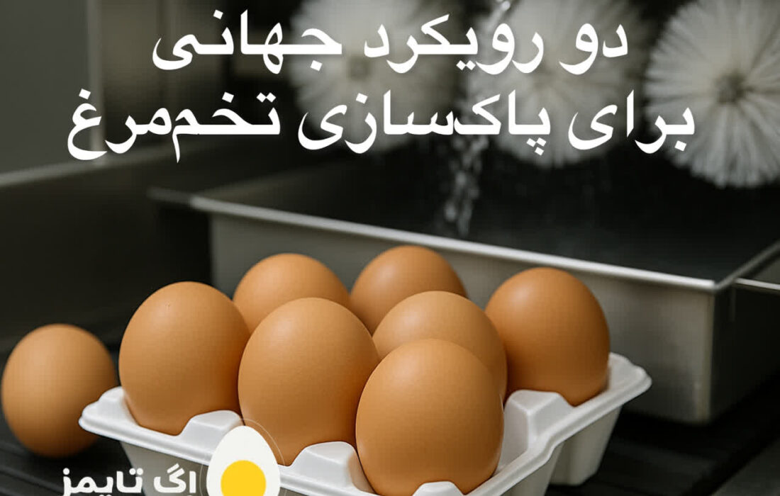 دو رویکرد جهانی برای پاکسازی تخممرغ