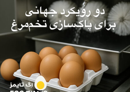 دو رویکرد جهانی برای پاک‌سازی تخم‌مرغ