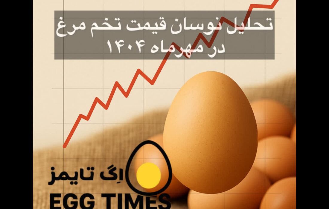 تحلیل نوسان قیمت تخممرغ در مهرماه ۱۴۰۴
