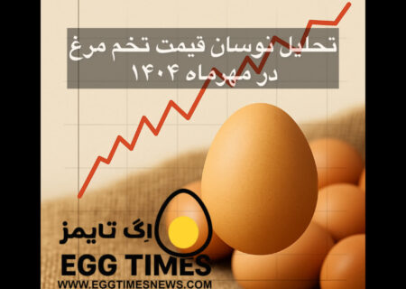 تحلیل نوسان قیمت تخم‌مرغ در مهرماه ۱۴۰۴
