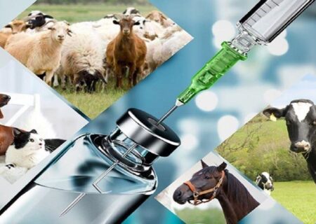 صادرات ۹۰ میلیارد تومانی واکسن‌ در نیمه نخست امسال| بازارهای صادراتی افزایش می یابد