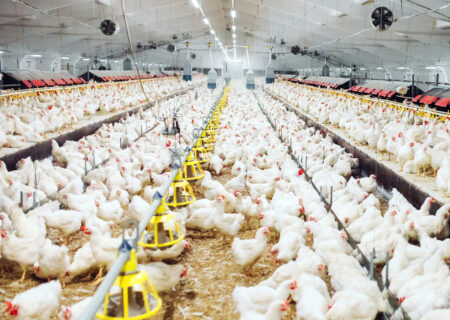 سازمان دامپزشکی هشدار داد.