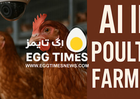 هوش مصنوعی در خدمت مرغداری؛ مدل YOLOv8 برای تشخیص سریع بیماری مرغ‌ها