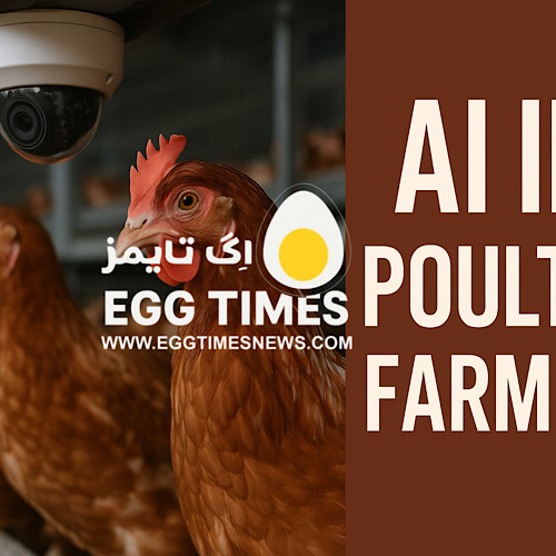 هوش مصنوعی در خدمت مرغداری؛ مدل YOLOv8 برای تشخیص سریع بیماری مرغ‌ها