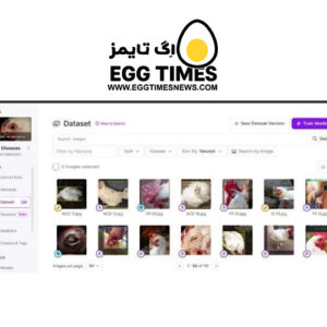 نحوهٔ کار Roboflow در آماده‌سازی و پیش‌پردازش داده‌ها