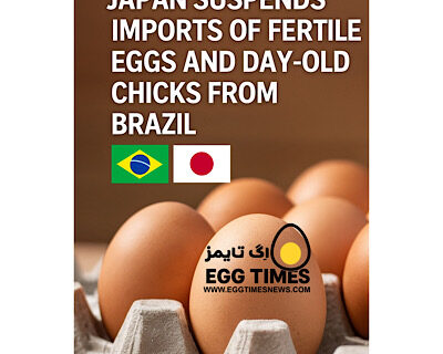 تعلیق واردات تخم‌مرغ‌های نطفه دار و جوجه‌های یک‌روزه برزیل به ژاپن پس از گزارش آنفلوانزای پرندگان