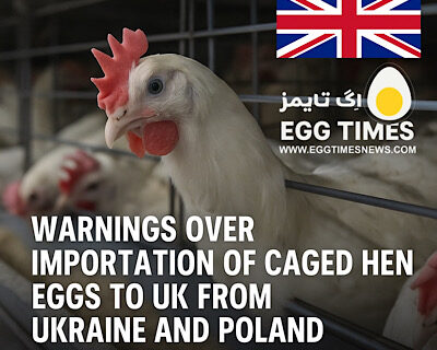 هشدارها درباره واردات تخم‌مرغ‌های مرغ قفسی به بریتانیا از اوکراین و لهستان