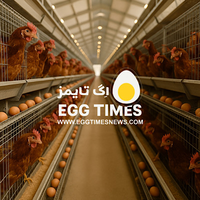 تأثیر انرژی و لیزین جیره بر عملکرد مرغ‌های تخم‌گذار در اوج تولید